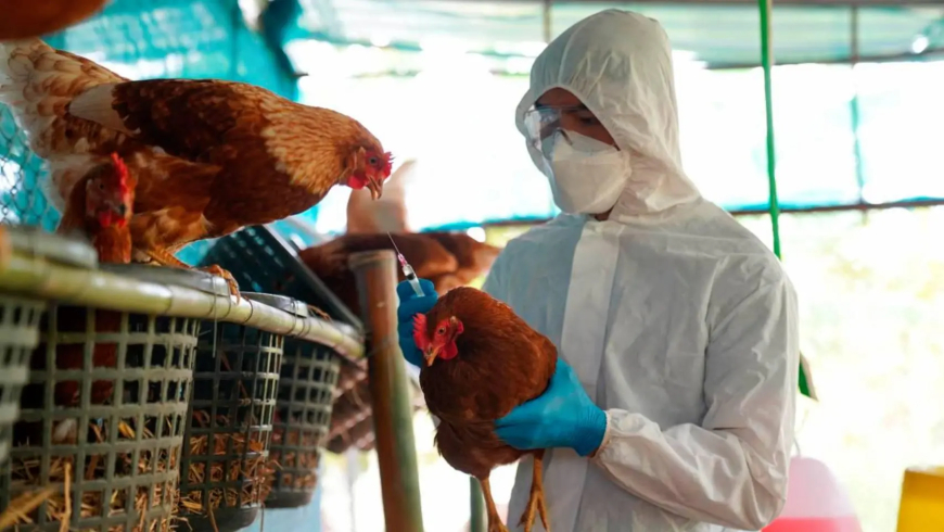 Cuando ELLOS quieran y con los ENGAÑOS que quieran