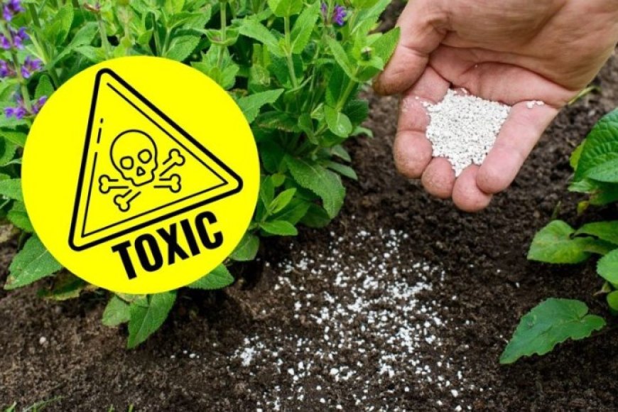 La adaptación al cambio climático es solo una excusa