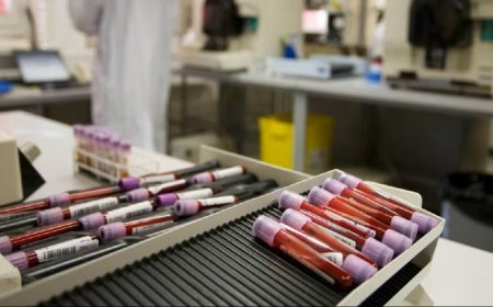 La HIBRIDACION NO ESTÁ en la sangre sino en LAS INTELIGENCIAS