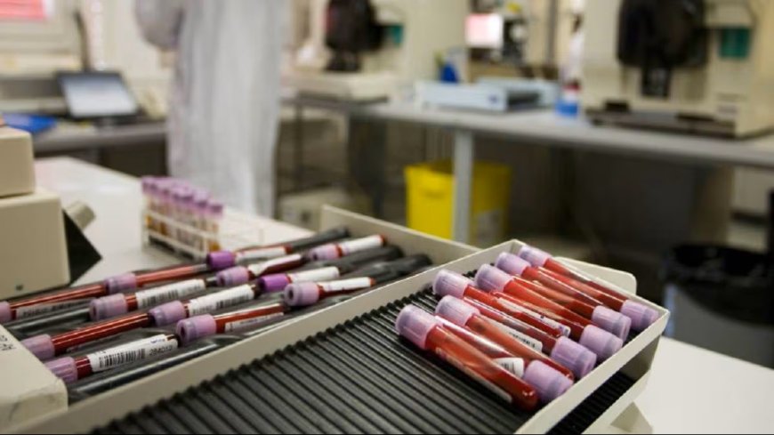 La HIBRIDACION NO ESTÁ en la sangre sino en LAS INTELIGENCIAS