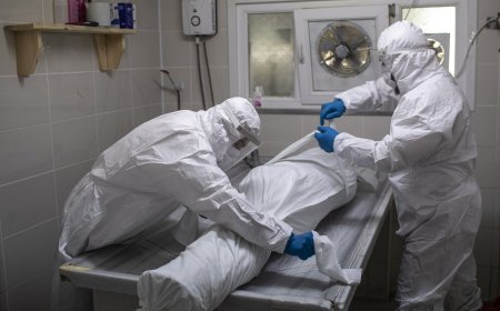 Lo que había en las autopsias de los vacunados