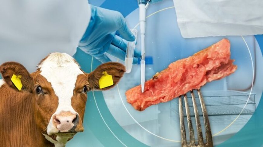 El WEF llama a un 'lavado de cerebro masivo' para promover la carne cultivada en laboratorio