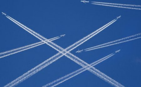 Despoblación 2.0 en acción