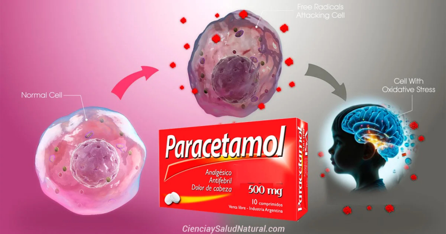 El Paracetamol es toxico