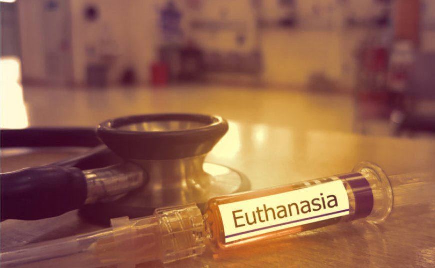 Ahora vienen por la eutanasia