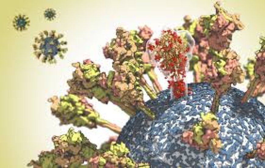 Cómo las proteínas spike inducidas por vacunas dañan el cerebro y causan cáncer