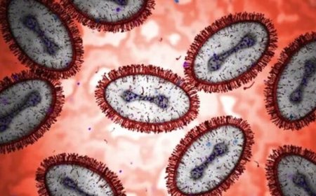 El ADN utilizado para crear pandemias mortales