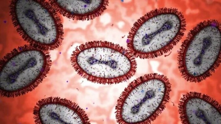 El ADN utilizado para crear pandemias mortales