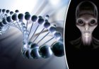 Evidencia de inserciones de 'ADN alienígena' en poblaciones humanas