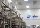 El poder de Pfizer