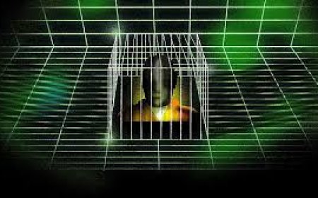 El crédito social y la dictadura biométrica