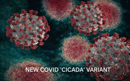 Quieren engañarnos otra vez con otro COVID CICADA