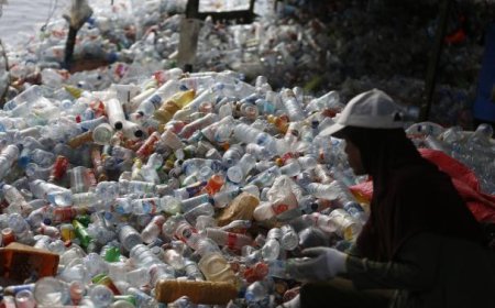 Nuevo sistema de reciclaje en España SDDR y no es lo que parece