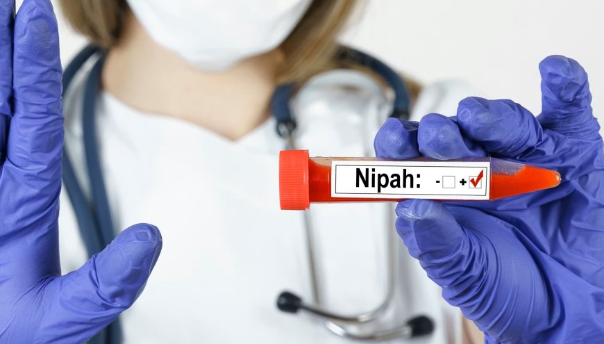 NIPAH, el falso virus que han inventado