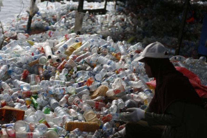 Nuevo sistema de reciclaje en España SDDR y no es lo que parece