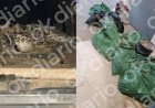 Precintado un crematorio de Madrid por tirar los muertos a la basura