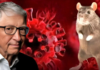 El hantavirus ya estaba en la agenda de Bill Gates en 2021