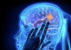 Los humanos que rechazan los chips cerebrales no sobrevivirán