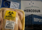 Caos en la UE, tras el acuerdo con el Mercosur