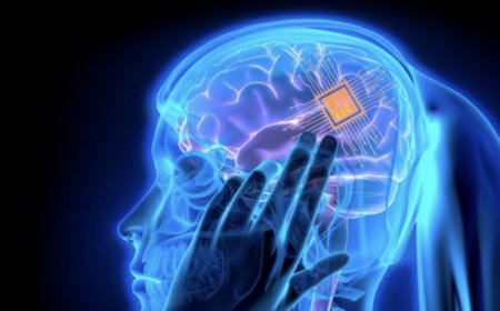 Los humanos que rechazan los chips cerebrales no sobrevivirán