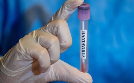 El genoma del hantavirus se construyó a partir de 'sangre humana' en el Bioloab militar estadounidense
