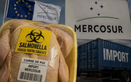 Caos en la UE, tras el acuerdo con el Mercosur