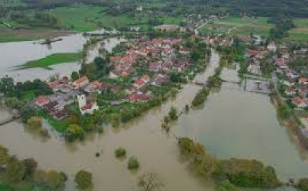 Quieren declarar la supuesta crisis climática como sanitaria