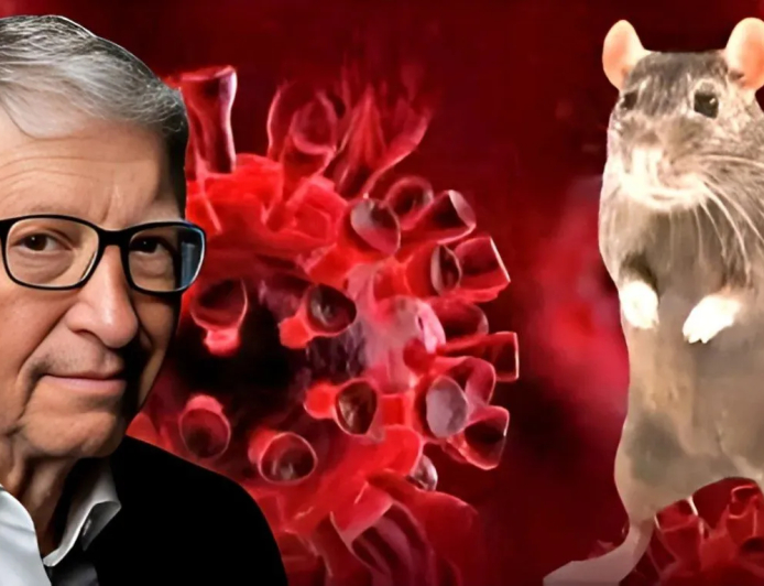 El hantavirus ya estaba en la agenda de Bill Gates en 2021