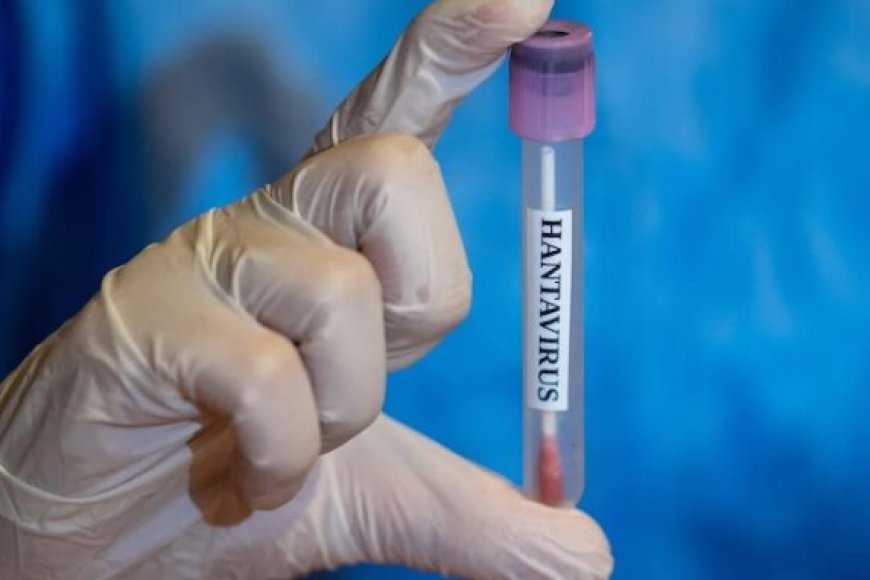 El genoma del hantavirus se construyó a partir de 'sangre humana' en el Bioloab militar estadounidense