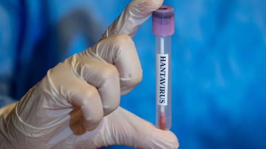 El genoma del hantavirus se construyó a partir de 'sangre humana' en el Bioloab militar estadounidense