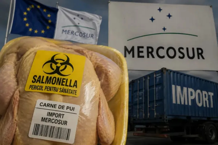 Caos en la UE, tras el acuerdo con el Mercosur