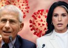 Fauci - La conspiración era suya