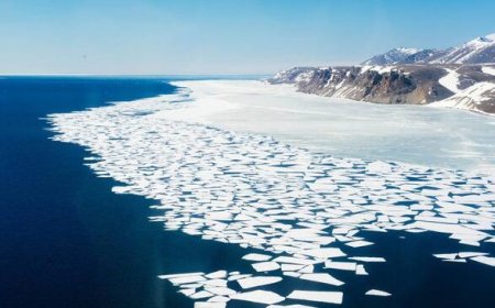 La manipulación climática de los dementes