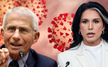 Fauci - La conspiración era suya