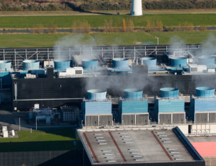La IA más peligrosa para el medio ambiente que la flatulencia de la vaca