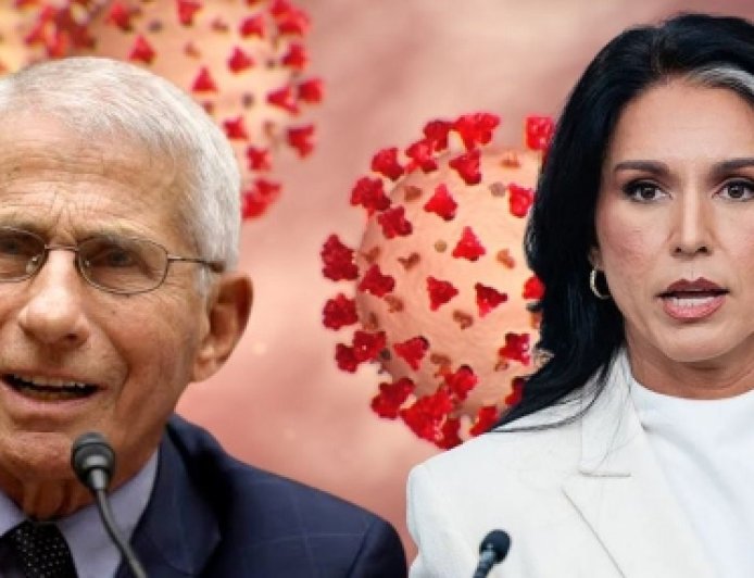 Fauci - La conspiración era suya
