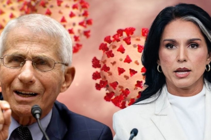 Fauci - La conspiración era suya