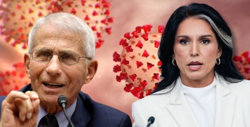 Fauci - La conspiración era suya