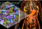 Microbioma intestinal: ¿qué le influye y cómo curarlo?