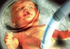 La clonación de humanos sin cerebro y 'sacos de órganos'