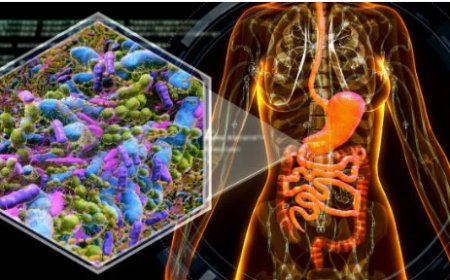 Microbioma intestinal: ¿qué le influye y cómo curarlo?