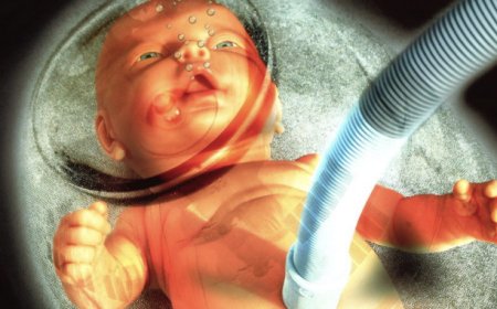 La clonación de humanos sin cerebro y 'sacos de órganos'