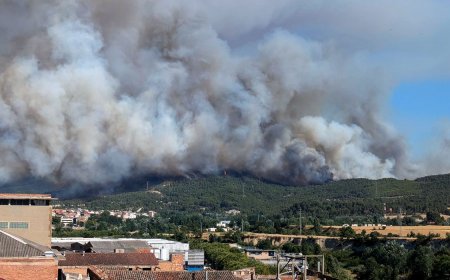 Otra forma de CONFINAR "por tu seguridad" es generar INCENDIOS