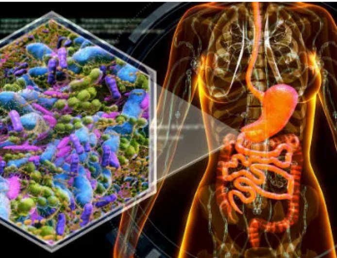 Microbioma intestinal: ¿qué le influye y cómo curarlo?
