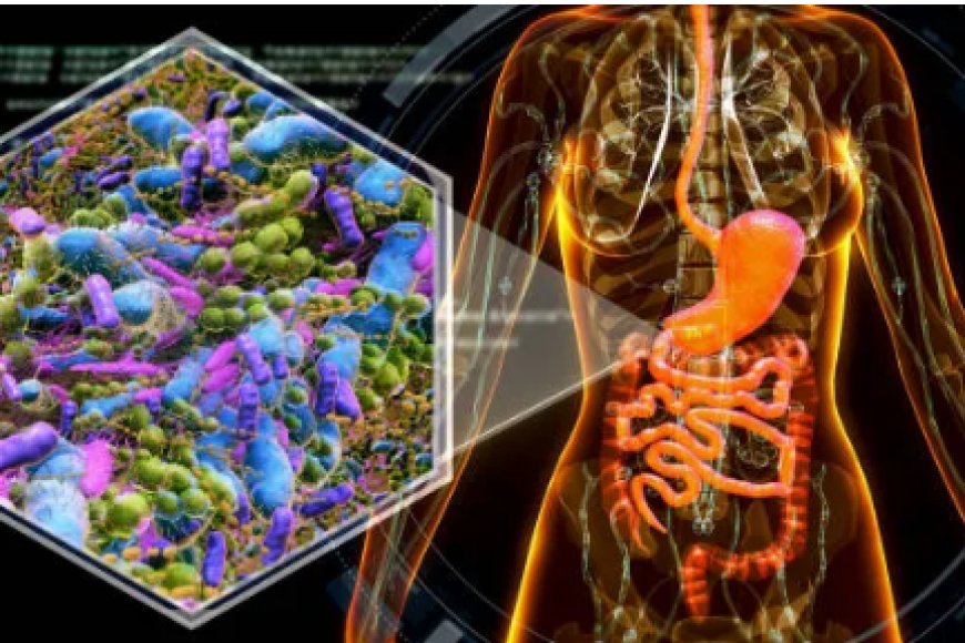 Microbioma intestinal: ¿qué le influye y cómo curarlo?