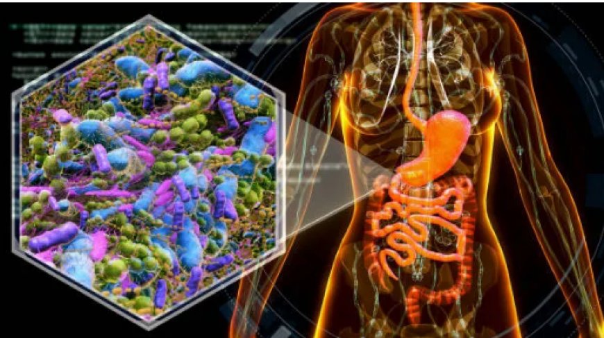 Microbioma intestinal: ¿qué le influye y cómo curarlo?